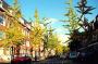 Rotterdam Delfgaauwstraat